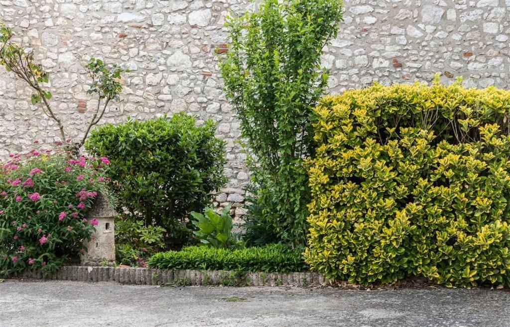 Hotel Du Cygne De La Croix Blanche Lailly-en-Val Bagian luar foto